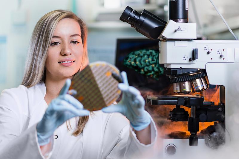 An der TU Ilmenau wird künftig biologisch inspirierte Elektronik entwickelt