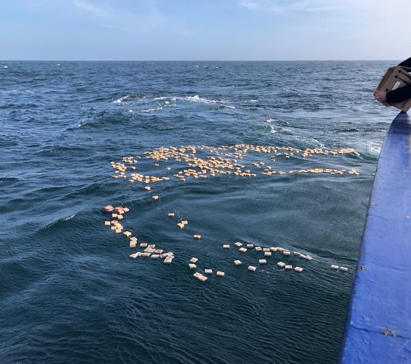 Im Frühjahr 2018 trieben die Holztäfelchen an die britische Ostküste bis nach Schottland.