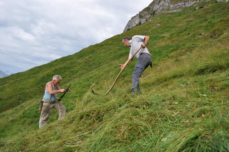 Mountain farmers Alois Langenegger and Anton Schelbert mowing (Hinter Heubrig, SZ). 