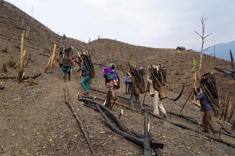 Naga women carrying firewood from the field to the village (Longvi, Hkamti Distrikt, Myanmar).