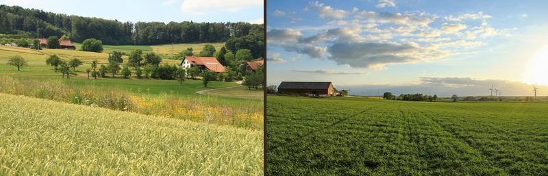 Kleinteilige Agrarlandschaften (links) bieten Vorteile: Sie fördern biologische Vielfalt, Bestäubung und natürliche Schädlingsbekämpfung. 