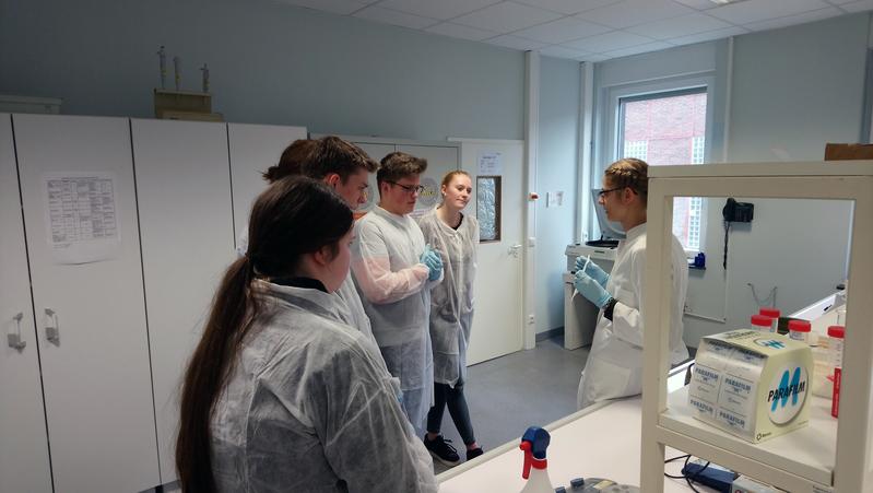UniStem Day an der UW/H