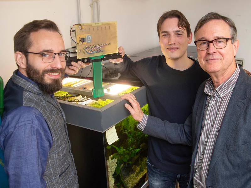 Probelauf (von links): Dr. Hendrik Herzog, Martin Gottwald und Prof. Dr. Gerhard von der Emde testen im Zoologischen Institut der Universität Bonn die Unterwasserkamera im Aquarium. 