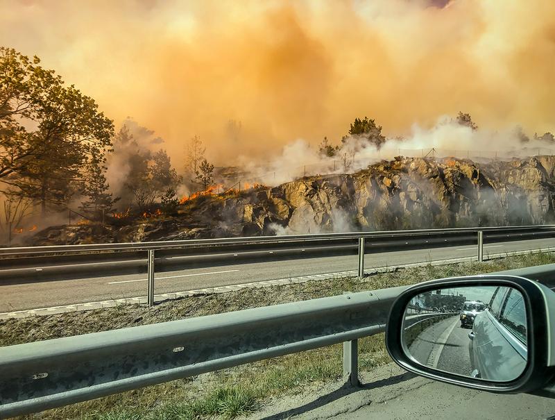 In Schweden brannten im Sommer 2018 aussergewöhnlich grosse Wald- und Moorflächen.