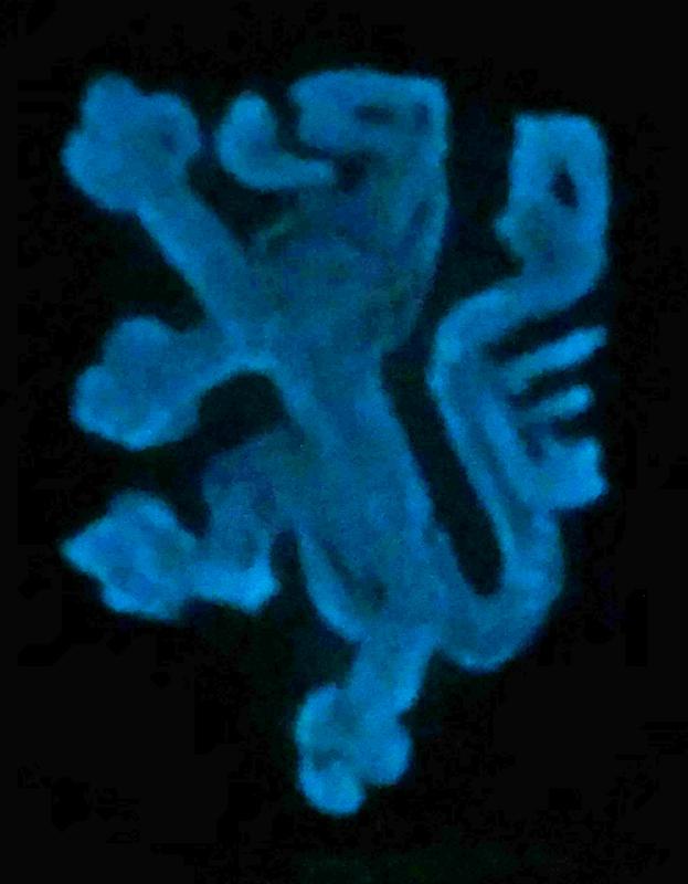Löwenlogo, aus dem Bakterium Aliivibrio fischeri DSM 507T gewachsen