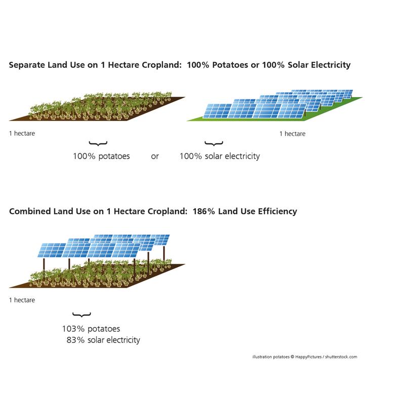 Through the combined land use, the land use efficiency with the APV system is 186 percent.