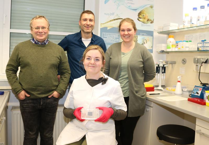 Laboratory assistant Luisa Falkenthal (seated) shows cell cultures of farmed salmon; with Dr. Aleksei Krasnov (from left), Dr. Alexander Rebl and Anne Flore Bakke.