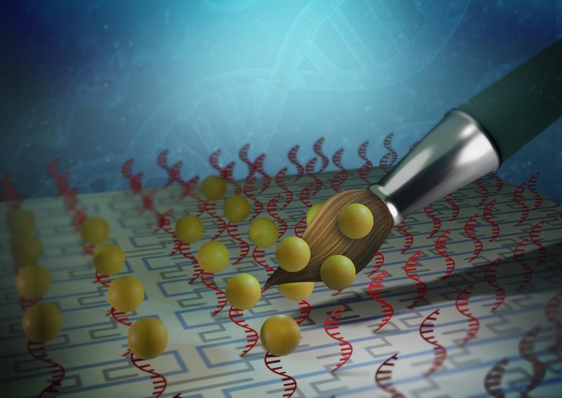 Scientists of the MPI-P created a method to address different anchor points on a DNA molecule to selectively grow polymers