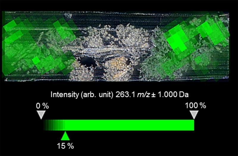 With their new method the researchers were able to reconstruct the distribution of the dyes. 