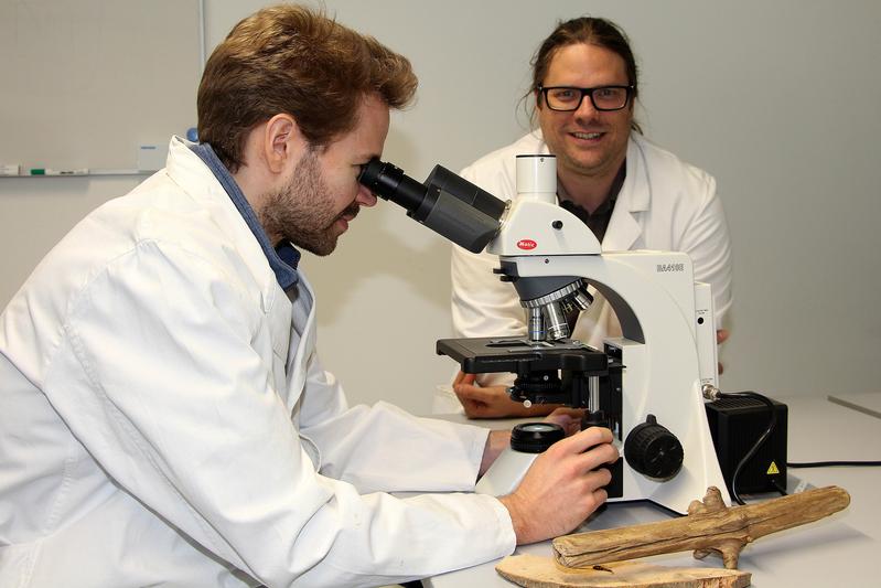 Am Anfang steht die präzise Analyse des biologischen Funktionsvorbilds. Das Kühlprinzip von Holzzellen schauen sich Projektleiter Prof. Dr. Tobias Seidl(h.) und Dr. Michael Bennemann an.