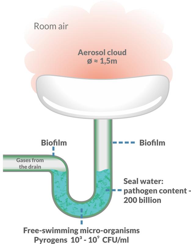 Schematic representation of the bacterial problem area in a sink/siphon