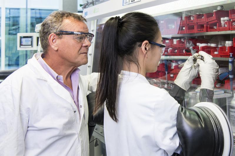 Professor Stefano Passerini und seine Mitarbeiterin Hyein Moon setzen an einer Handschuhbox eine Natrium-Ionen-Batterie zusammen.