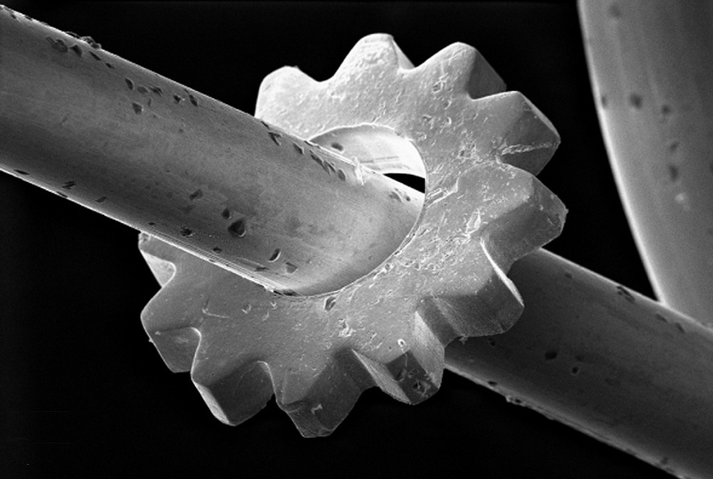 Zahnräder mit weniger als einem Millimeter Durchmesser werden in der Mikrosystemtechnik benötigt. In Serie lassen sie sich durch Spritzguss von Metallpulvern fertigen. ©Fraunhofer IFAM