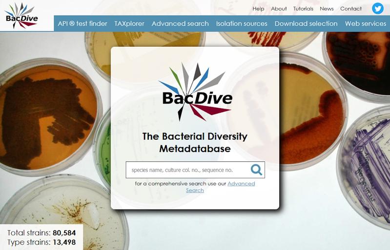 Landing page of the online database BacDive