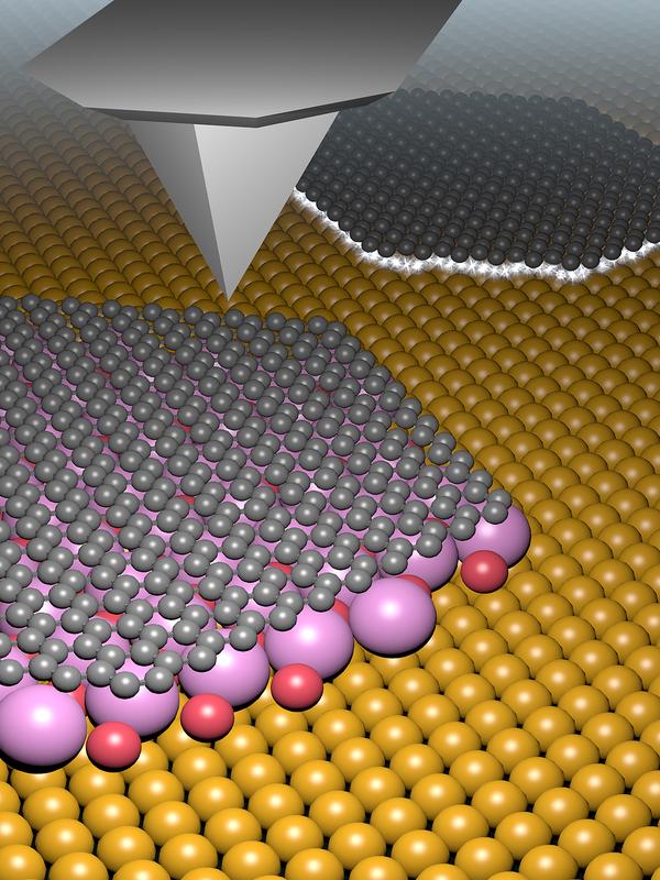 Kaliumbromid-Moleküle (pink) ordnen sich zwischen dem Kupfersubstrat (gelb) und der Graphenschicht (grau) an und bewirken damit eine elektrische Entkoppelung.