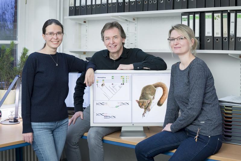 Freuen sich über die Veröffentlichung ihrer Studie: Dr. Liliya Doronina, PD Dr. Jürgen Schmitz und die Biologiestudentin Olga Reising (v.l.) 