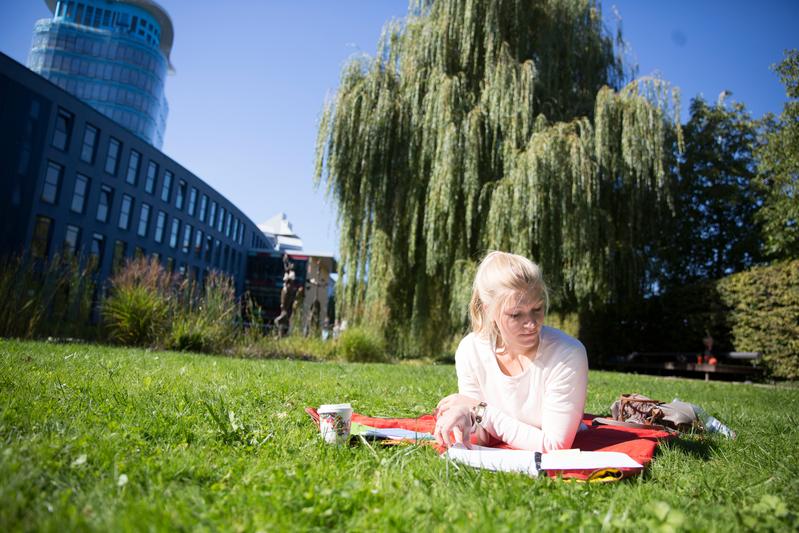 Lernräume neu definieren: Im DAAD-Projekt LEARN[IN] der SRH Hochschule Heidelberg, der Università degla stud Firenze und der Universidade do Minho beleuchten die Wissenschaftler die Lernumgebung.  