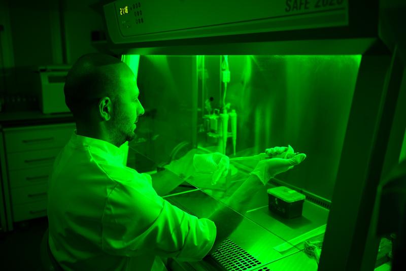 The use of light plays an important role for the researchers. Photo: Sascha Yousefi 