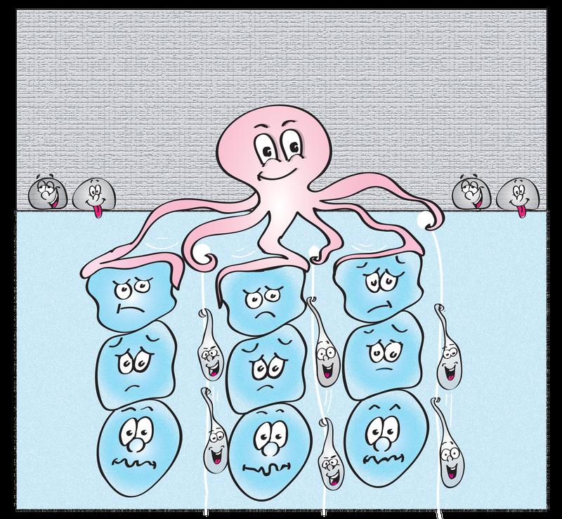 Illu Segregationsprozess: Der Oktopus steht für das Aktin-Organisationszentrum der Zebrafisch-Eizelle. Dieses zieht gleichzeitig Cytoplasma-Päckchen nach oben und drückt Dottergranulate nach unten