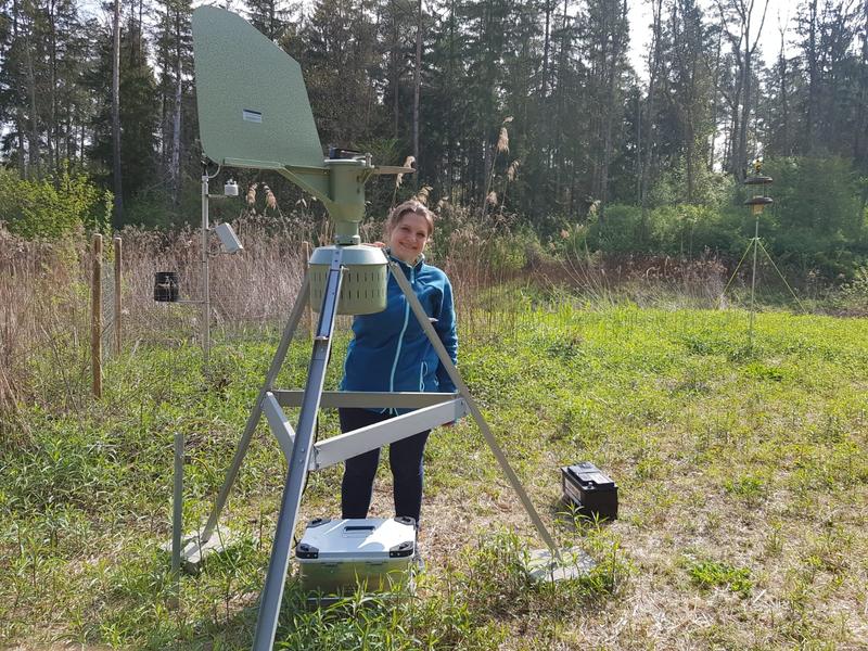 Im Auwald hat die Wissenschaftlerin auch elf Pollenfallen installiert, um den Pollenflug zu dokumentieren. Täglich müssen die Objektträger ge-wechselt werden, an denen die Pollen haften bleiben.