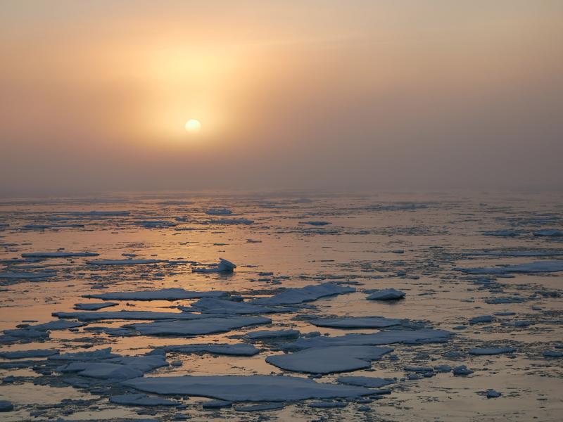 Arctic sea ice