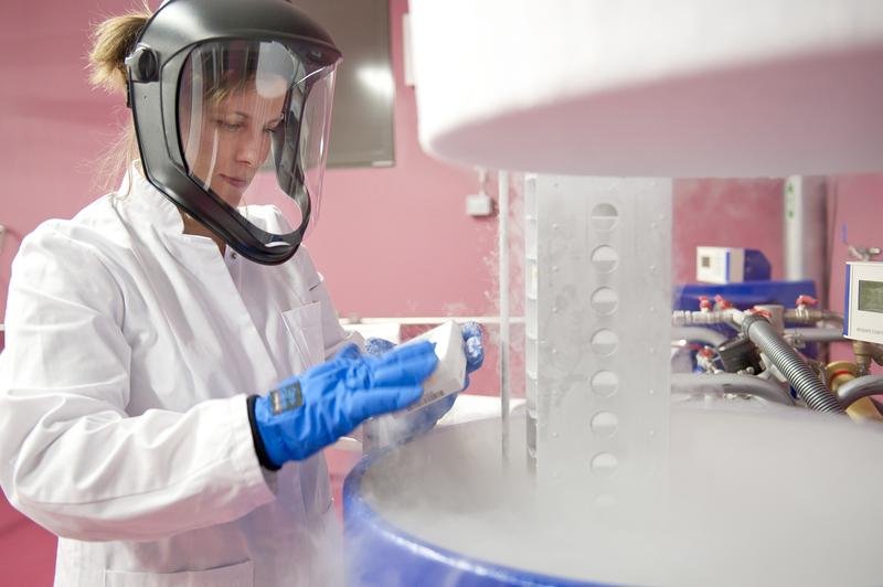 Biobanken wie die ZeBanC lagern Zellen, Gewebe und anderes Biomaterial in der Gasphase flüssigen Stickstoffs bei -165 °C, um sie für zukünftige Forschungsfragen zu konservieren.