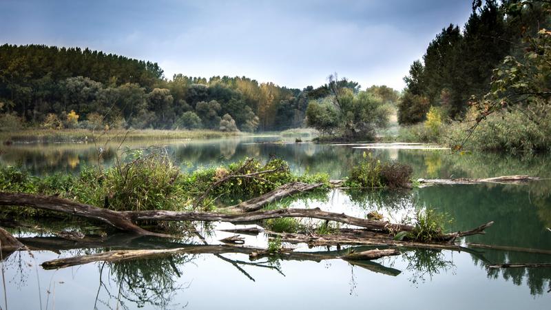 Binnen- und Küstengewässer zählen zu den Hotspots der Biodiversität.