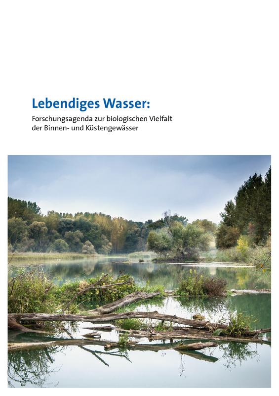 In ihrer Forschungsagenda empfehlen die Autorinnen und Autoren, die deutsche Biodiversitätsforschung zielgerichtet weiterzuentwickeln.
