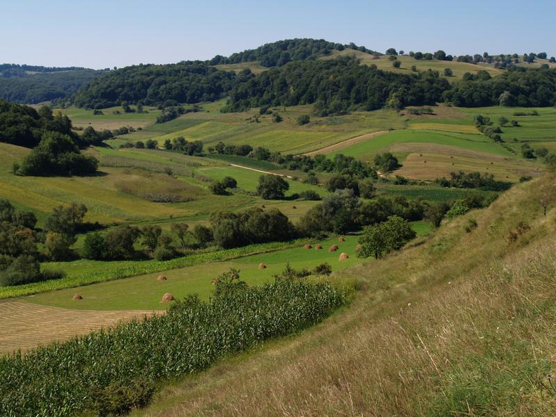 Eine strukturreiche Agrarlandschaft (Rumänien) kann die Artenvielfalt fördern.