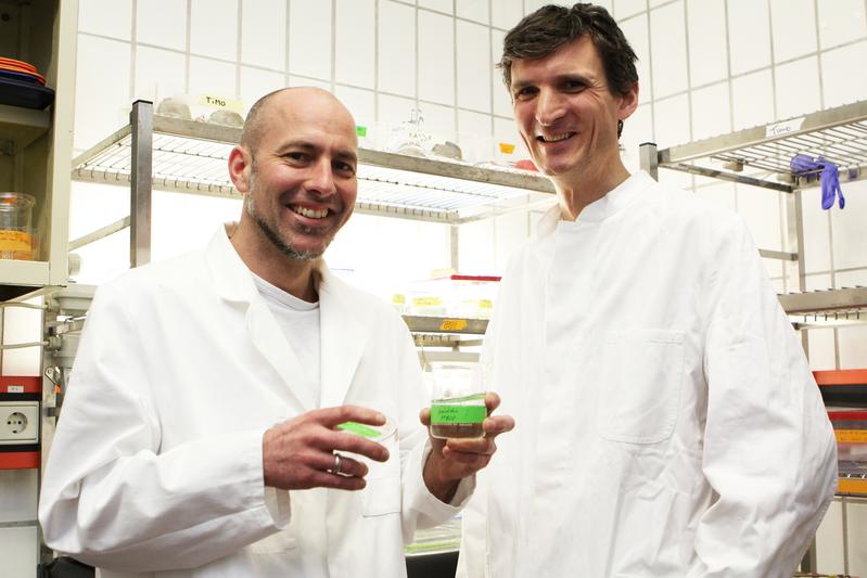 CRC 1182 researchers Dr Tim Lachnit (left) und Dr Peter Deines investigated the connections between nutrient availability and the balance of the microbiome. 