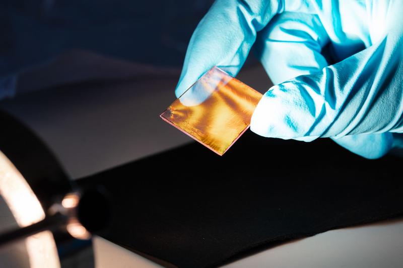 Auf einen Glasträger übertragene ultradünne Schicht aus Hydrogelkügelchen mit Goldpartikeln. 