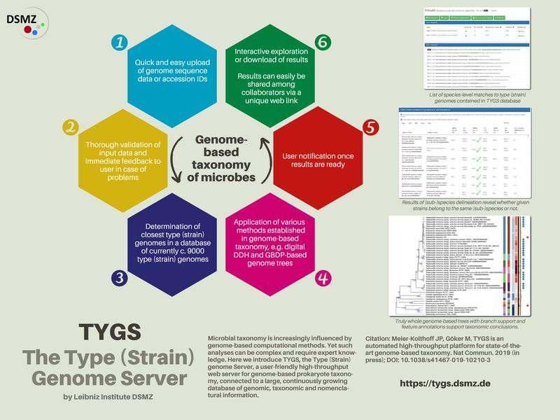 Infographic Type (Strain) Genome Server