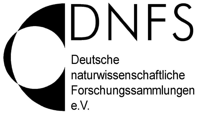 Logo DNFS