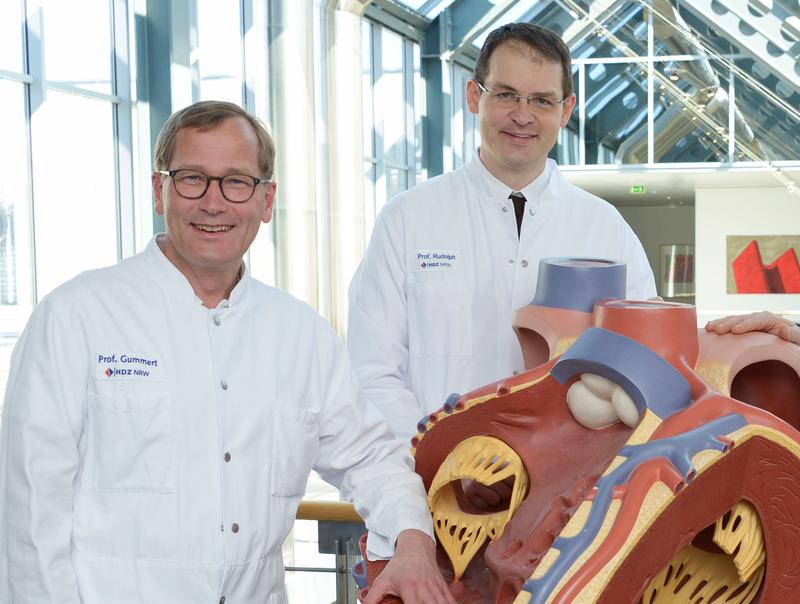 Spezialisten für Herzklappen: Prof. Dr. Jan Gummert (l., Herzchirurgie) und Prof. Dr. Volker Rudolph (Allgemeine und Interventionelle Kardiologie/Angiologie)