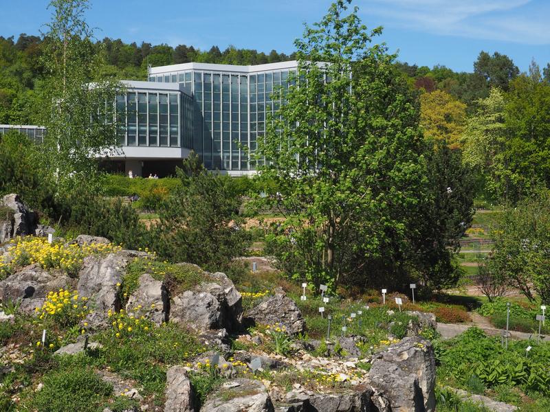 Der Botanische Garten der Universität Tübingen auf der Morgenstelle