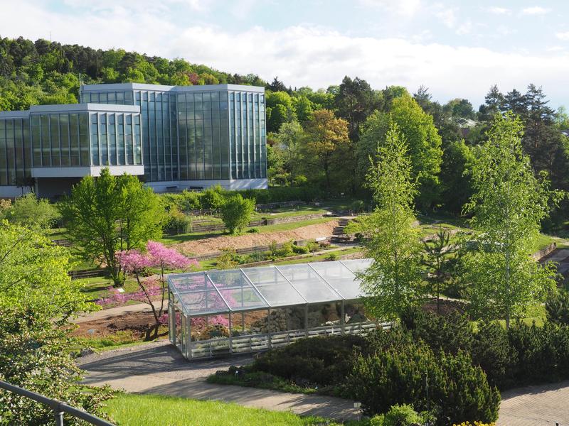 Der Botanische Garten der Universität Tübingen auf der Morgenstelle