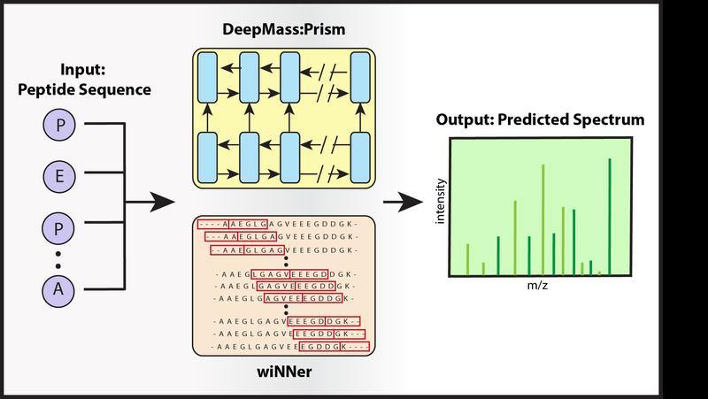DeepMass:Prism, ein Deep-Learning-Ansatz mit bidirektionaler, rekurrenter neuronaler Netzwerkarchitektur (RNN) zur Vorhersage von Fragmentintensitäten.