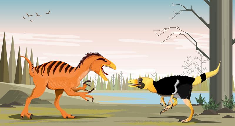 Phuwiangvenator und Vayuraptor  waren schnelle und gefährliche Räuber. 