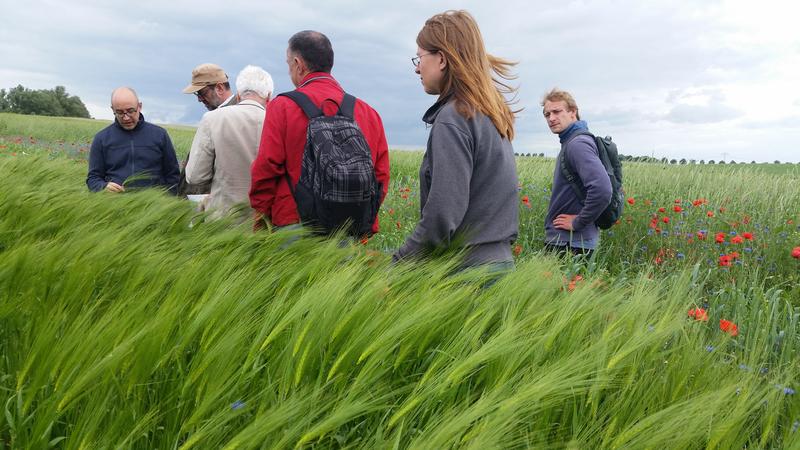 Rundgang auf Gut Wilmersdorf beim Feldtag 2018