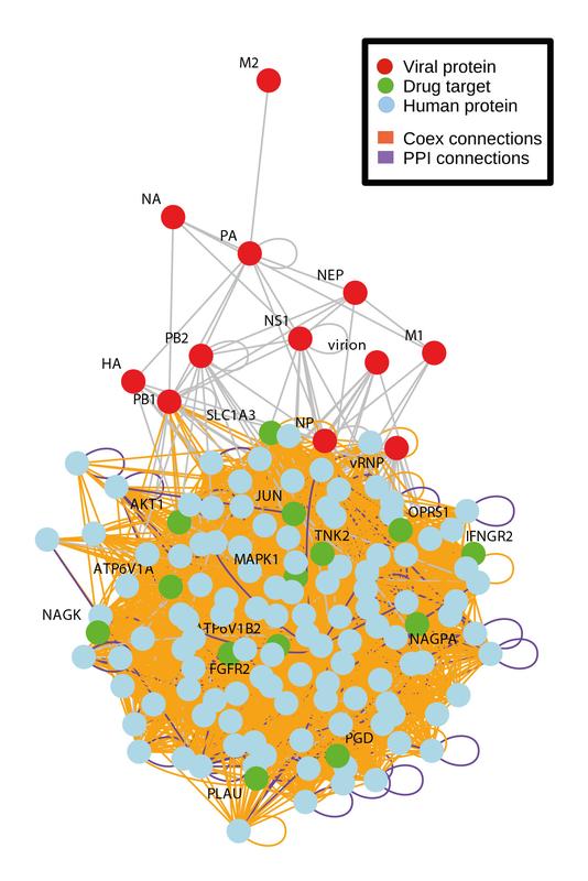 Using bioinformatics in search of effective medicinal products against influenza.