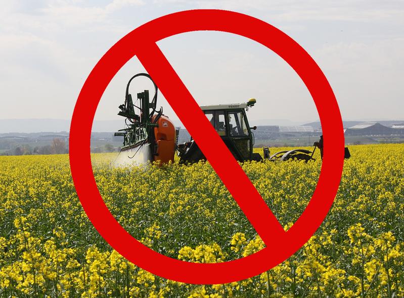 Landwirtschaft ohne chemischen Pflanzenschutz – Universität Hohenheim stellt neues Verbundprojekt vor. 