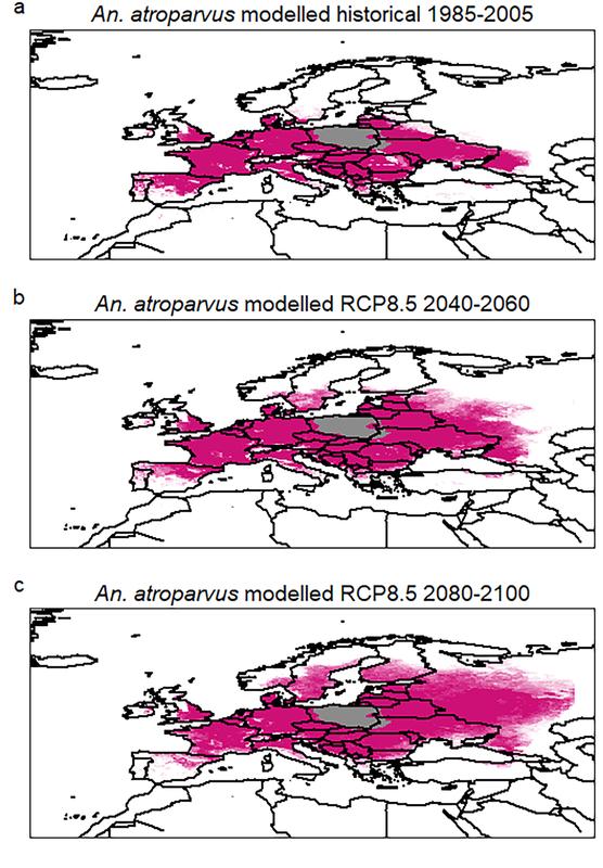 Malaria-transmitting mosquito species will spread further in Europe in the course of this century.