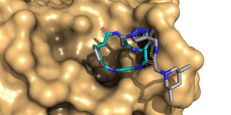 Eine künstlerische Darstellung eines Makrozyklus, der an ein Protein bindet.