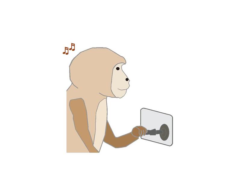 Der Affe lernt, Tonfolgen voneinander zu unterscheiden und beim richtigen Signal einen Hebel zu drücken, um eine Belohnung zu bekommen. Dabei wird die elektrische Aktivität in der Hörrinde gemessen 