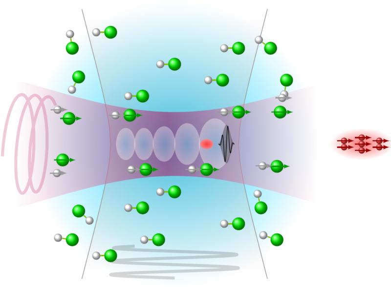 Abb. 2: Schema zur polarisationserhaltenden Laserbeschleunigung von Elektronen (rot) aus einem polarisierten molekularen Gastarget (weiß/grün). Die Pfeile deuten die Spinrichtung an.