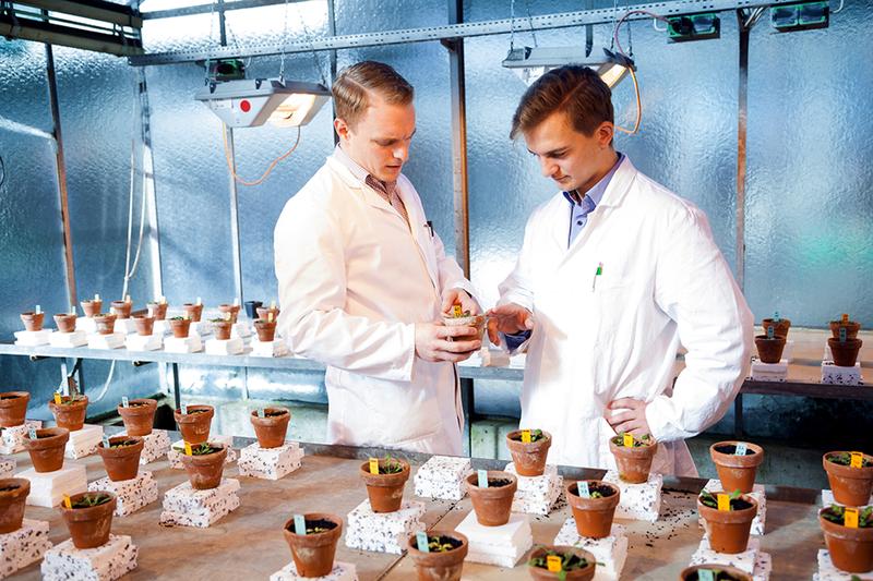 Studierende der Agrarwissenschaften