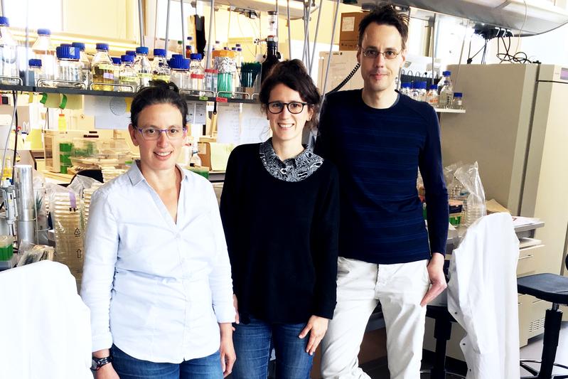 Some of the authors of the new research: Professor Tal Dagan (left), Tanita Wein and Dr Nils Hülter from the Institute of General Microbiology at the CAU 