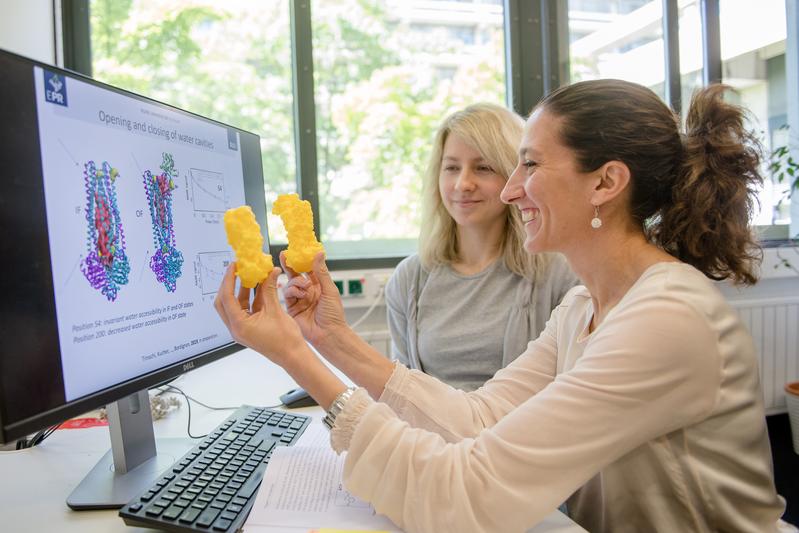  Enrica Bordignon (vorn) und Svetlana Kucher mit einem Modell des Transportproteins, das sie untersucht haben.