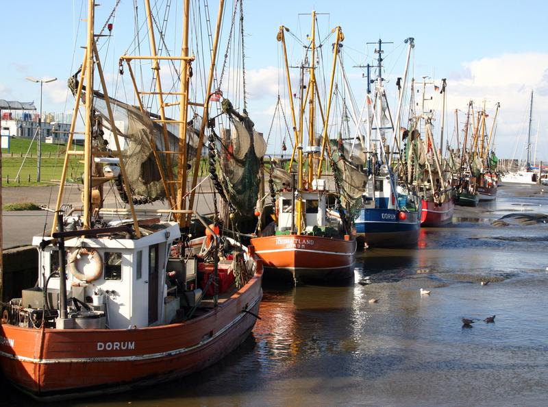 Die wachsende Nachfrage nach Fisch und Meeresfrüchten gefährdet die weltweiten Bestände, viele Meere sind überfischt. Deshalb wird die Aquakultur immer wichtiger. 