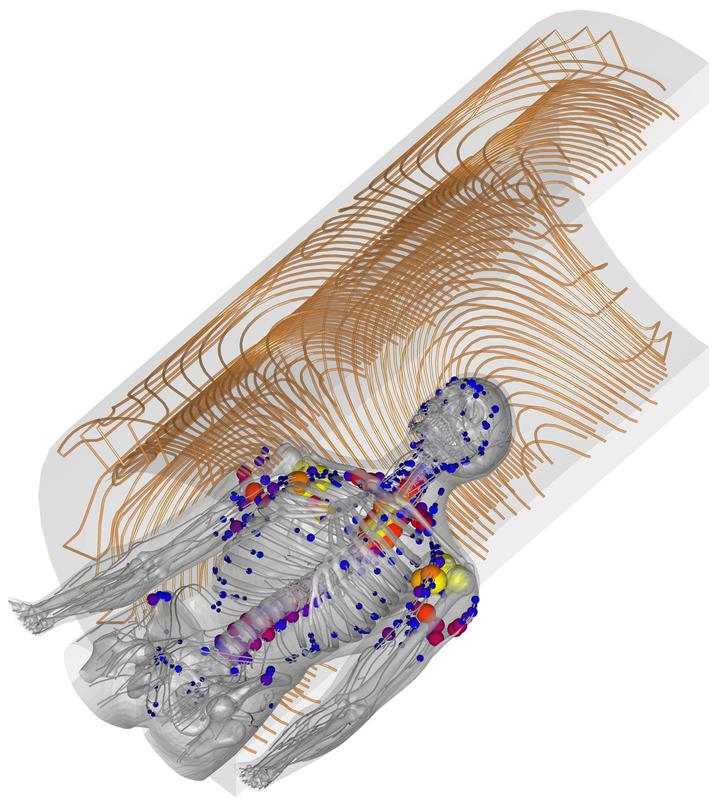 Das von Dr. Davids entwickelte männliche Modell mit den vorhergesagten Stimulationszentren, umgeben von der modellierten zylindrischen MRT Spule.